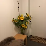 Apartament Cozy 2-bedroom In A Prime Location *